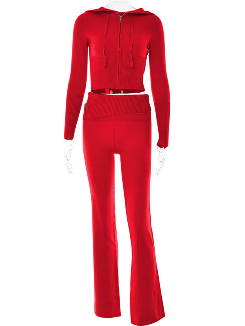 Hoodie Suit Women Leisure Sexy Zip Long Sleeve Sweater and High Waist Long Pants Set